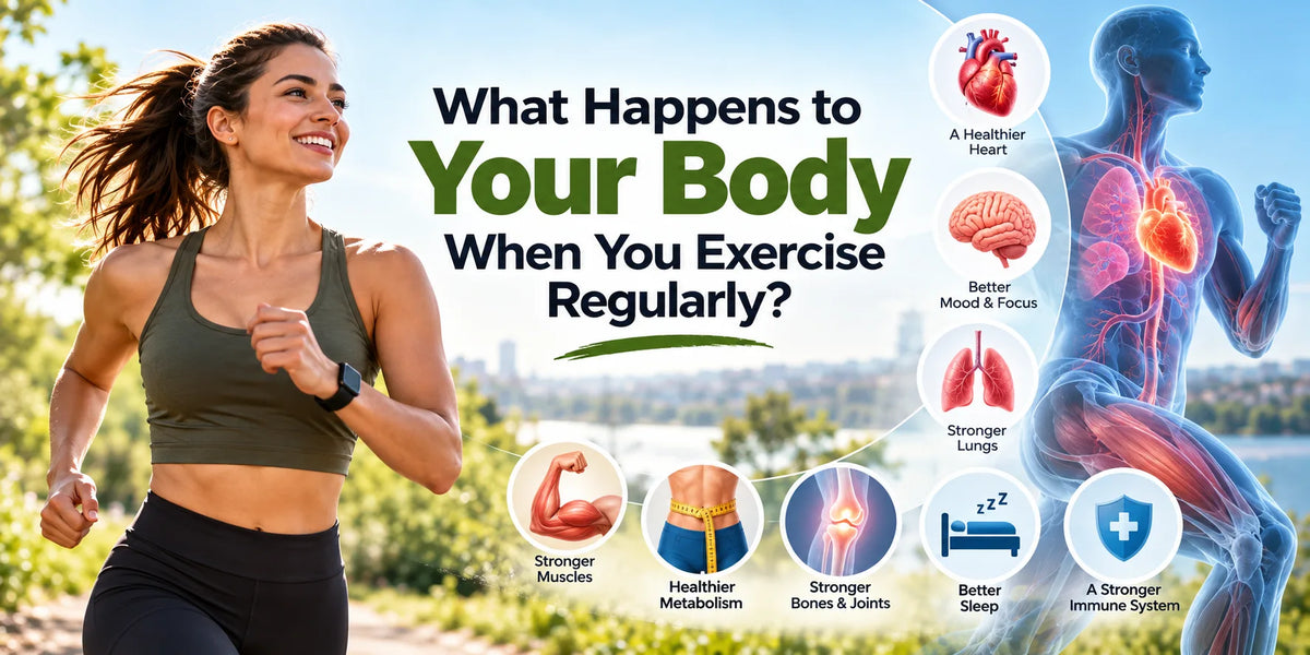 What Happens to Your Body When You Exercise Regularly?